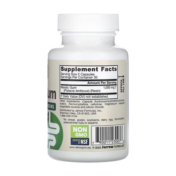 Mastic Gum 1000mg - 60 vcaps 30519 фото